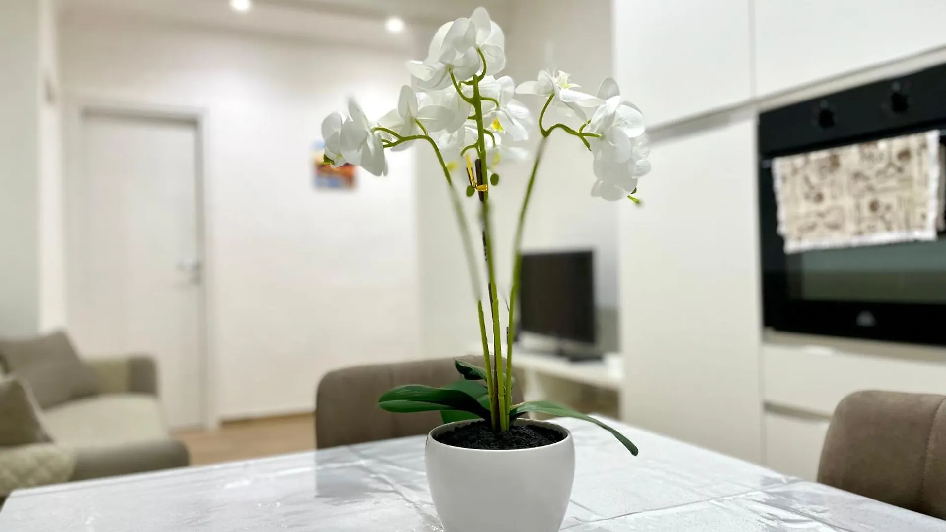 Best Rome Apartment